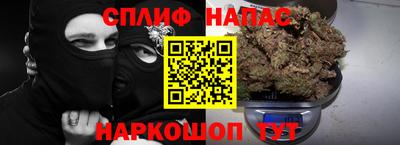 сатива Кинель