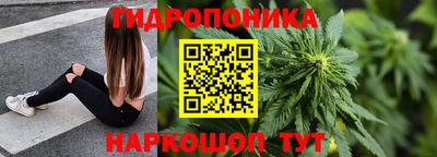 ECSTASY Кингисепп