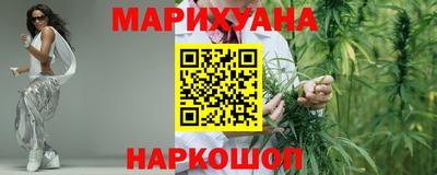 сатива Кинель