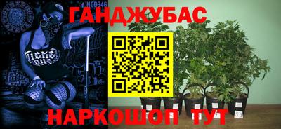 ECSTASY Кингисепп