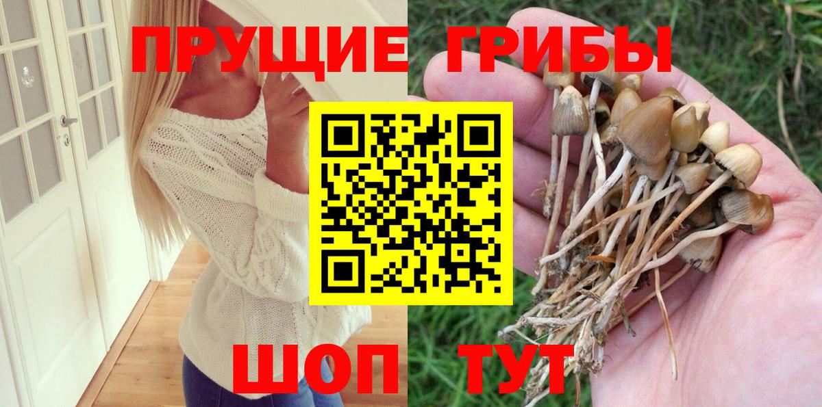 Костомукша  где купить наркоту  Вход с VPN  Псилоцибиновые грибы MAGIC MUSHROOMS  Галлюциногенные грибы Magic Shrooms 